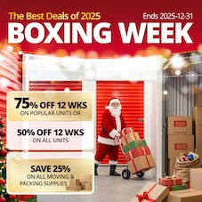 Access Storage - Wasaga Promotion