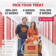 Access Storage - Wasaga Promotion